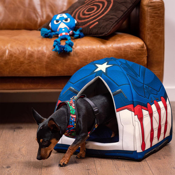 Παιχνίδι σκύλου CAPTAIN AMERICA-Marvel Avengers CAPTAIN AMERICA Chewing Toy